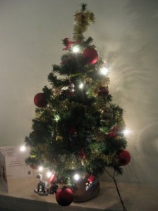 sapin1 sapin1