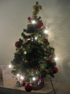 sapin1